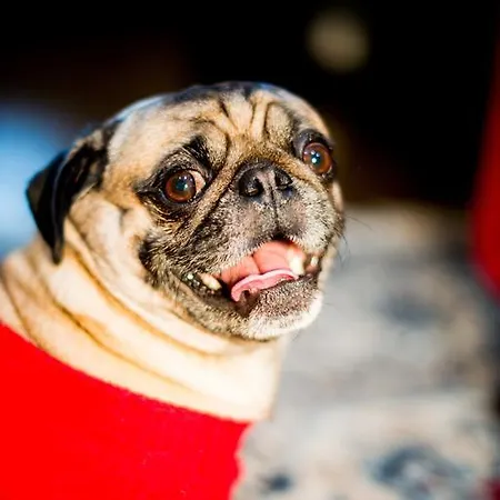 Residenze L'uncinaia House 4*