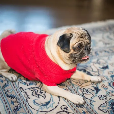 Residenze L'uncinaia House Bed and breakfast 4*