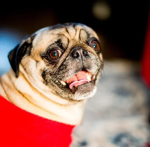 Residenze L'uncinaia House 4*