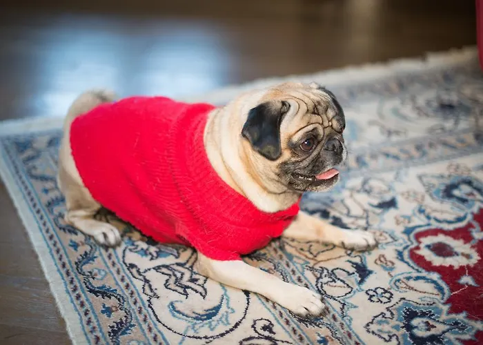 Residenze L'uncinaia House Bed & Breakfast 4*