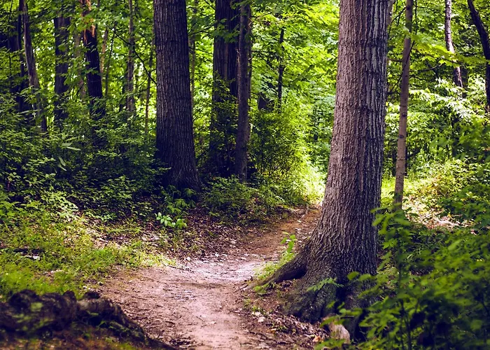 Residenze L'uncinaia House 4* Perúgia